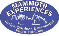 Mammoth Experiences